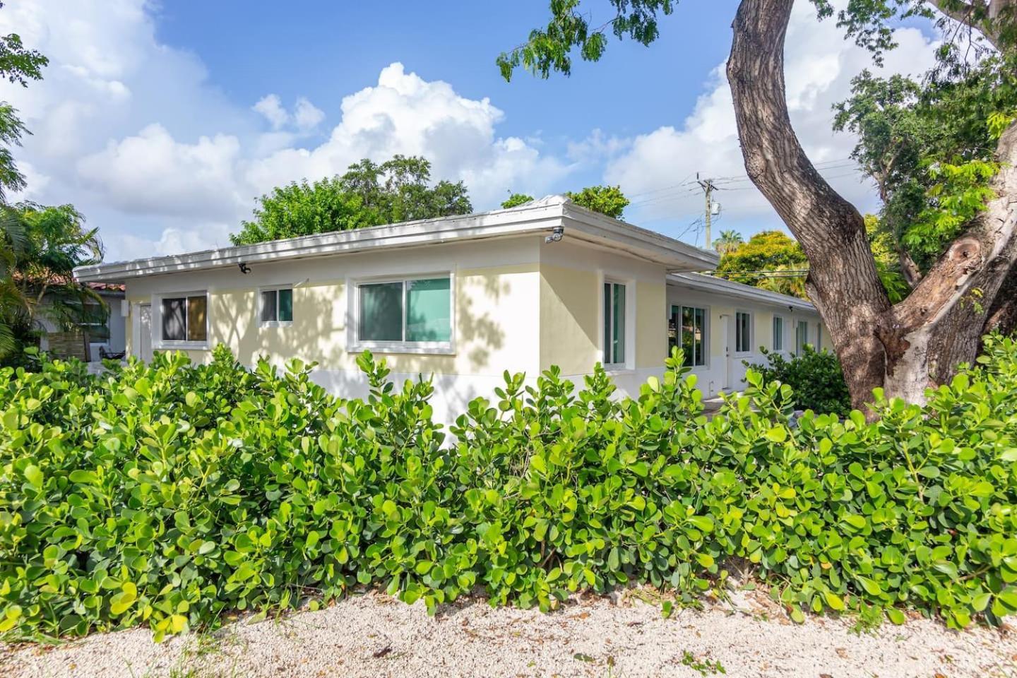 Large Stylish Studio Apartment In El Portal #3 Miami Exterior photo